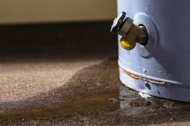 Best 24/7 water damage repair  in Ome, GA