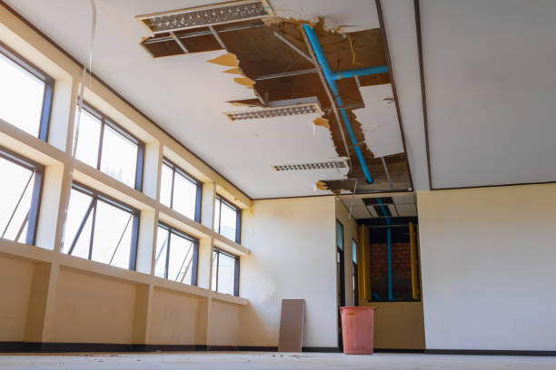 Best Water damage restoration near me  in Ome, GA