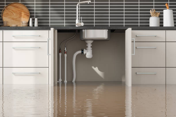 Best Flood restoration services  in Ome, GA
